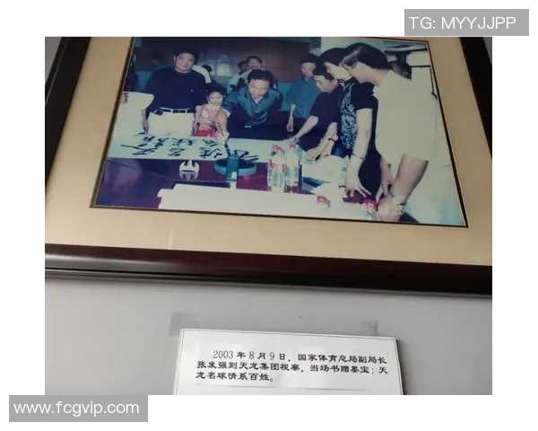 杭州网球队团队协作创新之路探讨与热议